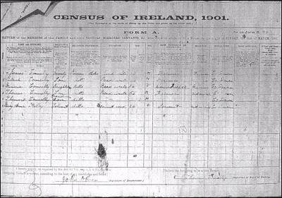 photo of 1901 census form